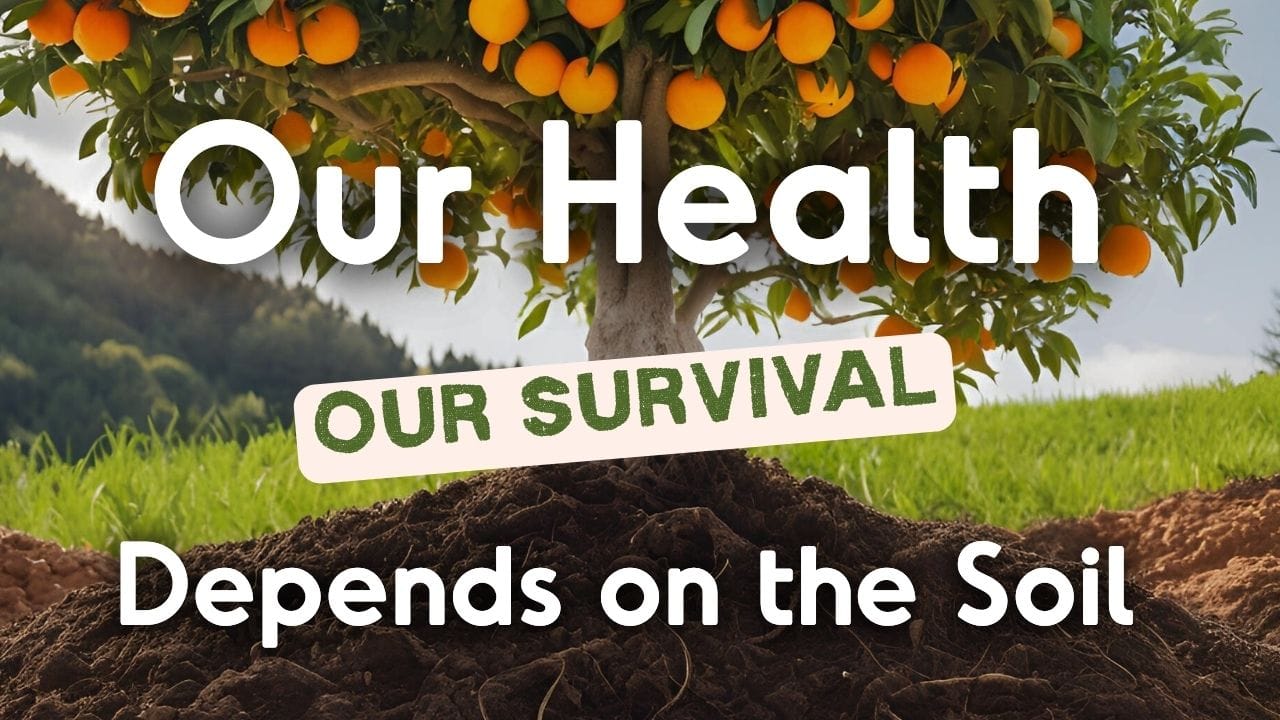 our health, our survival, depends on the soil
