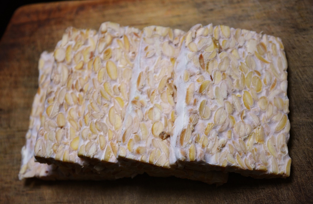 5. Tempeh (Image Credits: Pixabay)