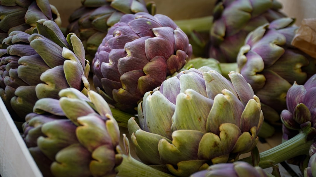 Understanding Artichoke Growing Zones and Climate (Image Credits: Unsplash)