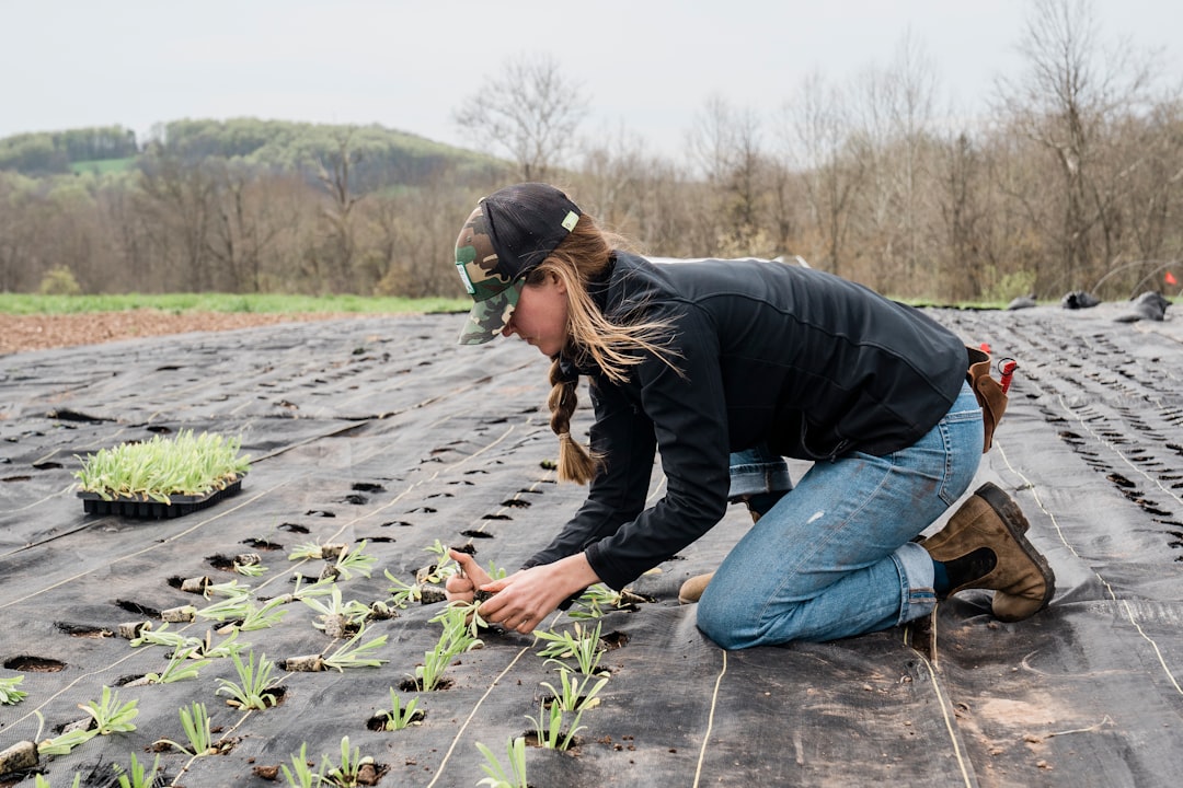 Starting Artichokes from Seed or Shoots (Image Credits: Unsplash)