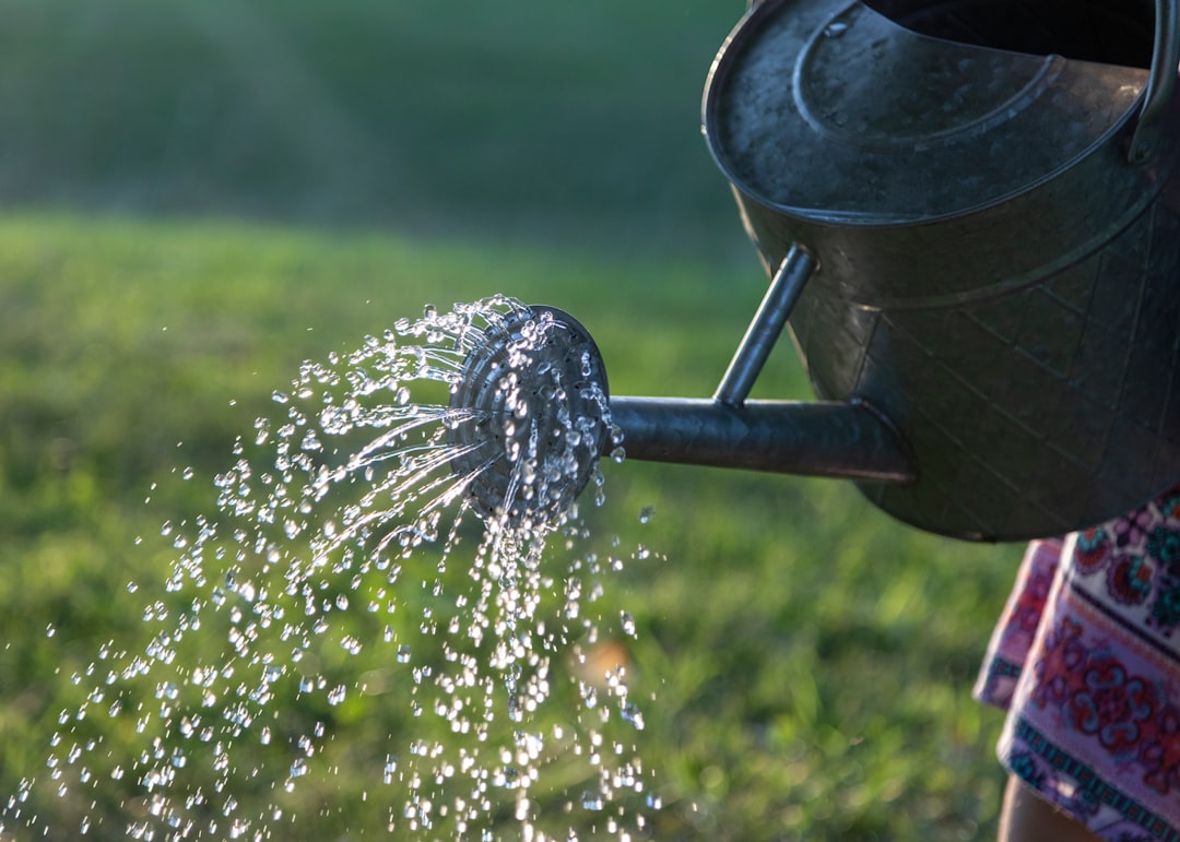 Watering and Fertilizing Throughout the Season (Image Credits: Unsplash)