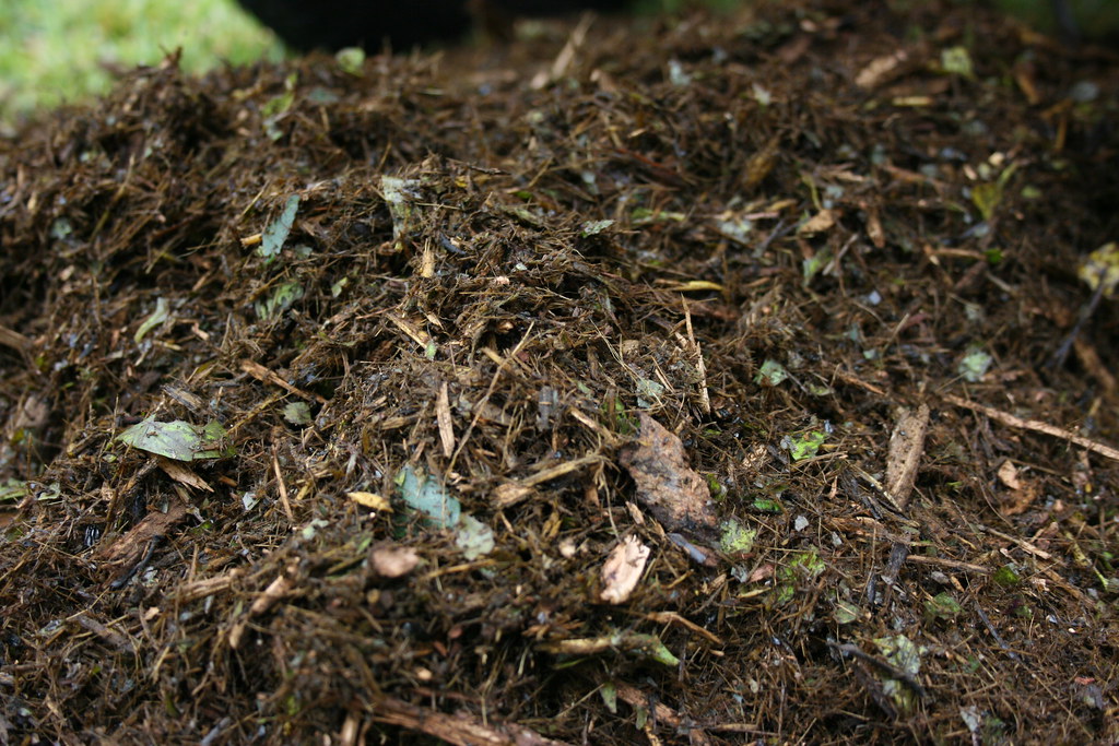 Mulching and Weed Control (mezuni, Flickr, CC BY 2.0)