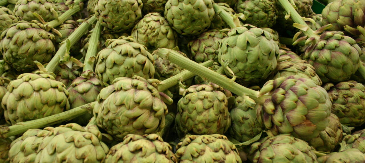 How to Plant and Care for Artichokes