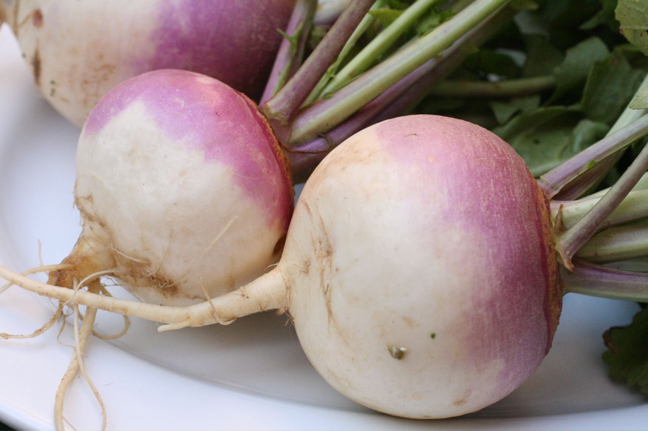 5. Turnips (By thebittenword.com, CC BY 2.0)