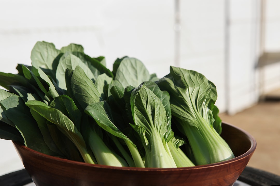6. Bok choy (Image Credits: Unsplash)